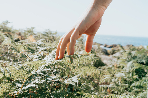 One hand touching a fern during a super bright day, reflexion, mental health, relax concept, depression, copy space