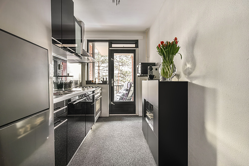 Kitchen in dark colors with modern appliances and carpet on the floor in a cozy house