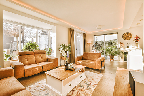 Interior of sitting room with large windows, attractive plant and beautiful view of outside