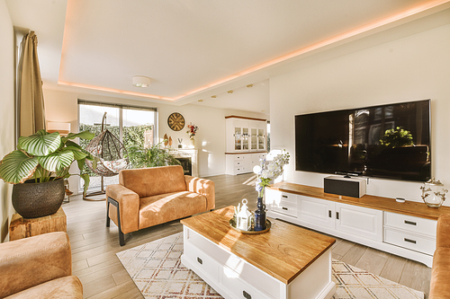 Interior of sitting room with attractive plant and large tv