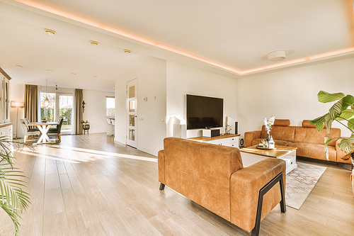 Interior of sitting room with attractive plant, large tv and table