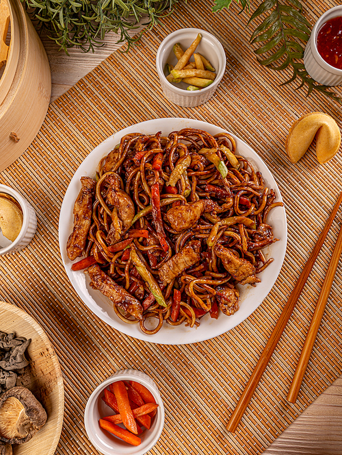 Slices of chicken in spicy brown sauce with noodles, Chinese main course