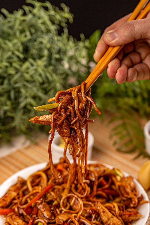 Stir-fried noodles dish with chicken and vegetables. Traditional Chinese chow mein