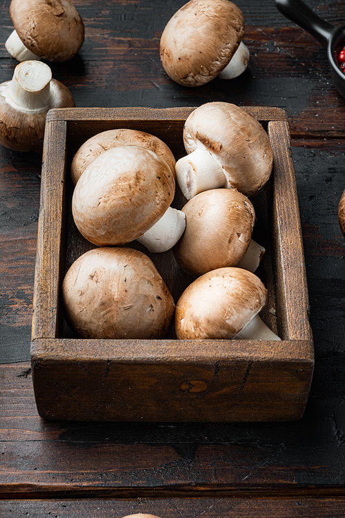 Royal mushrooms champignon whole set, on old dark  wooden table background