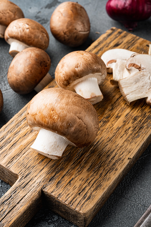 Brown champignons mushroom set, on gray background