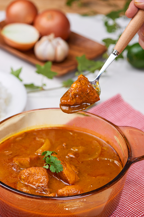 Homemade delicious chicken curry with coconut milk and spies