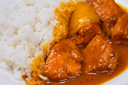 Delicious and spicy Chicken curry roast from Indian cuisine.