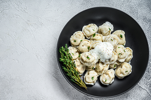 Italian ravioli dumplings with meat. White background. top view. Copy space.