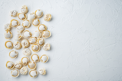 Frozen tortellini set, on white background, top view flat lay , with copyspace  and space for text