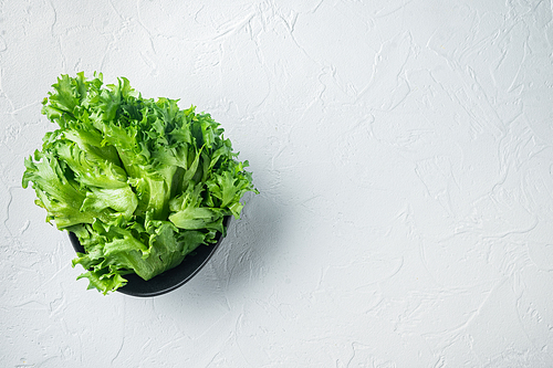 Green fresh lettuce fresh leaves, on white background, top view flat lay with copy space for text
