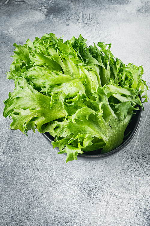 Frillis lettuce leaves, on gray background