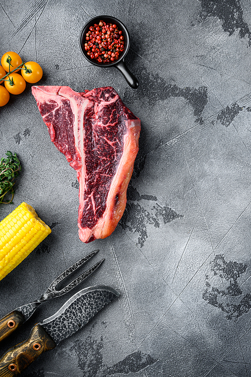 Raw fresh meat t-bone steak with spices, garlic and rosemary set, on gray stone background, top view flat lay, with copy space for text