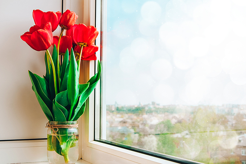 red tulips in vase on the windowsill bright, country style, in sunlight, bouquet for Easter decoration against an open background with copy space,