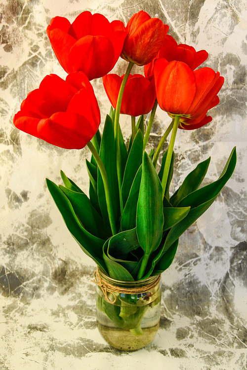 Red tulips in vase on concrete background, springtime, holiday mood