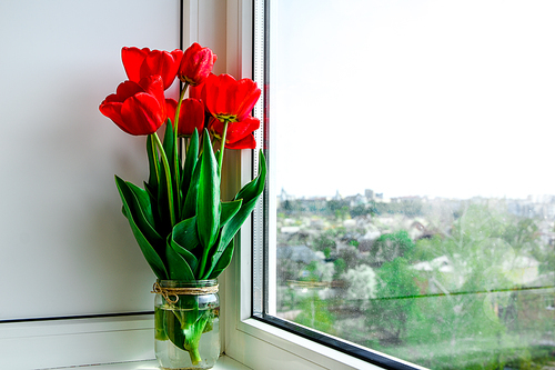 red tulips in vase on the windowsill bright, country style, in sunlight, bouquet for Easter decoration against an open background with copy space,