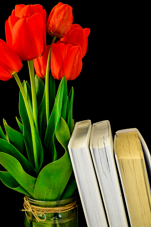 Closeup red tulips flowers in bloom bunch leaves with books isolated on black background, copy space for text