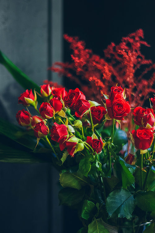 Still life with red roses bouquet on the dark background