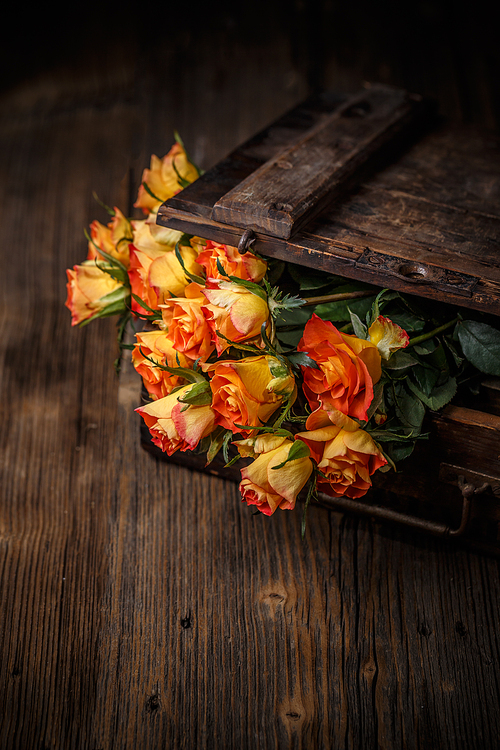 Bouquet of orange roses on a vintage wooden background