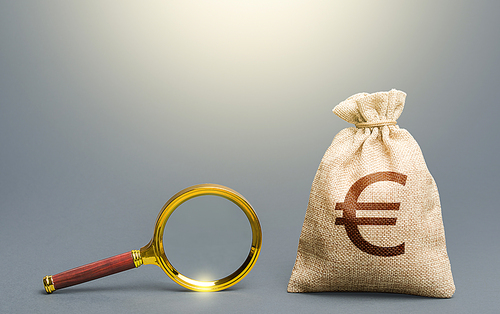 Euro money bag and magnifying glass. Financial audit. Origin of capital and legality of funds. Find high-paying job. Most favorable conditions for deposits, loans. Search and attraction of financing.