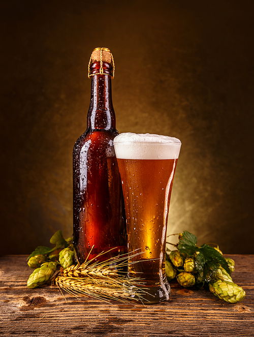 Glass of fresh foamy beer with wheat and hops