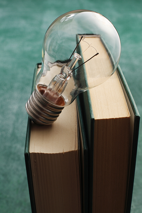 light bulb resting on the book