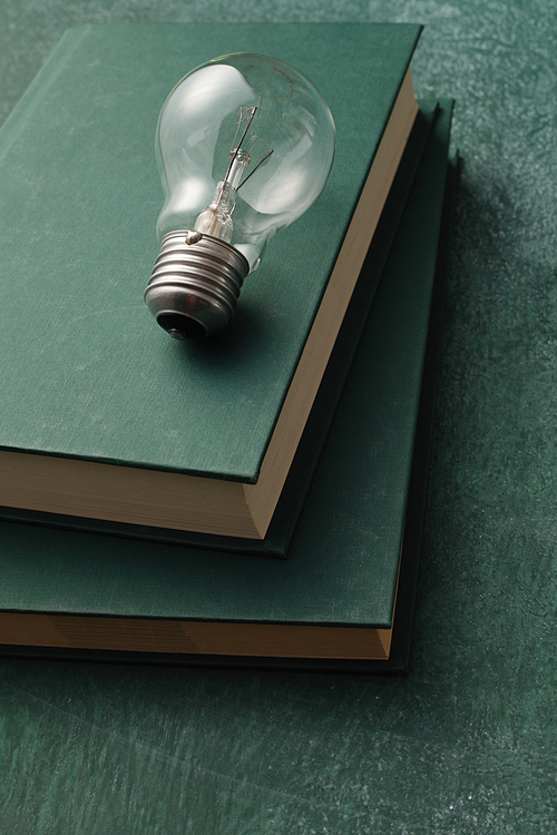 light bulb resting on the book