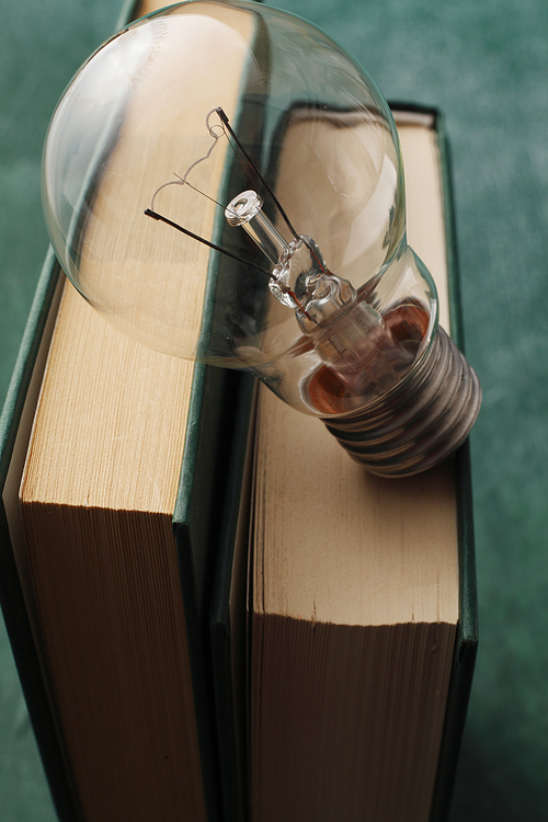 light bulb resting on the book