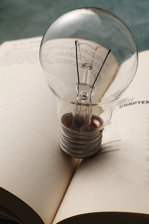 light bulb resting on the book