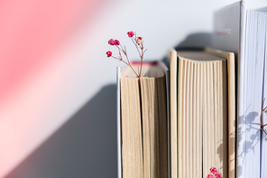 Stack of old books with babys breath flowers. Cozy reading. Delicate pink gypsophila flowers. Slow living concept. Unity with nature. Education literature. Selective focus.