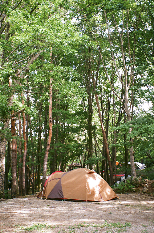 숲 속 캠핑 텐트