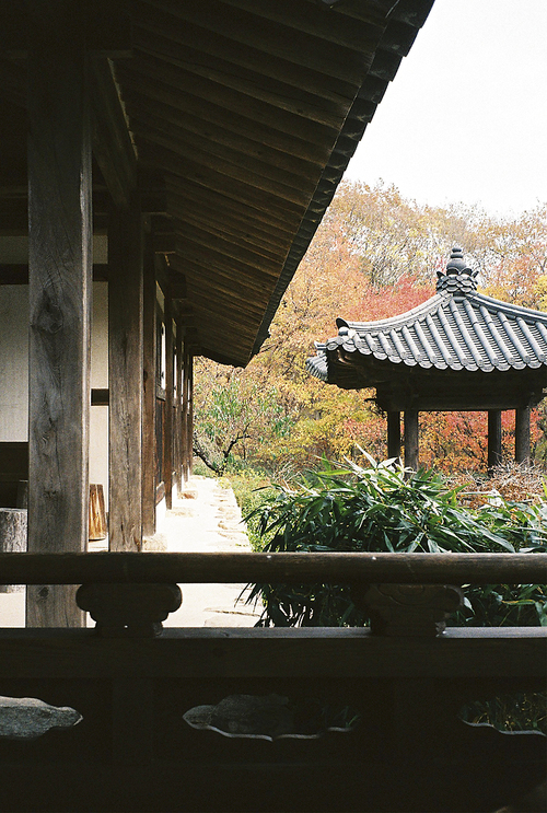 한국 전통 기와집