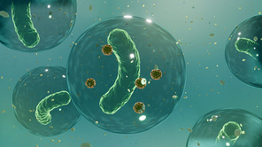 의료 전자 현미경으로 본 유산균과 먹이 프로바이오틱