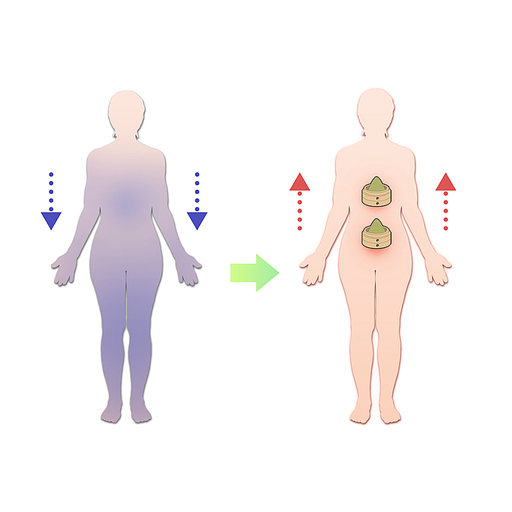 쑥뜸 면역력 한의학치료 효과 일러스트