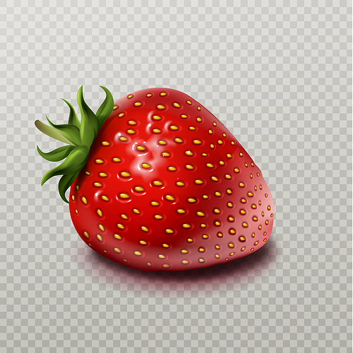Strawberry with green leaf isolated on transparent background, realistic vector illustration. Ripe sweet red berry with green leaf and yellow seeds, package design