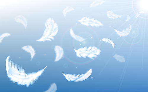 White feathers fly in air on blue sky background with sun beams and lens flare, realistic vector illustration. Fluffy soft feathers float in air, lightness and innocence poster
