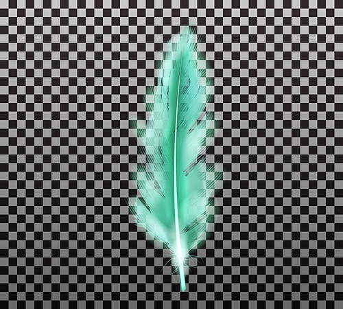 Color fluffy feather vector realistic isolated on transparent background. Green soft feather from wings of tropical birds or angel, symbol of softness and purity, design element