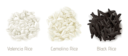 Rice valencia, camolino and wild grain piles top view isolated on white . Vegetarian organic raw food, different cereals types for paella and healthy eating, realistic 3d vector icon