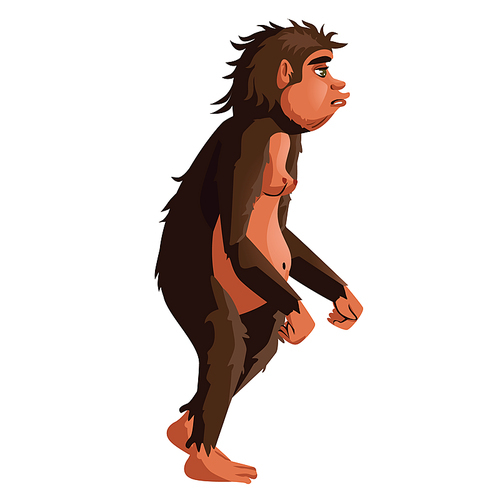 Ancient monkey or homo erectus, human ancestor cartoon vector illustration. Tailless great ape, primates, one of stages in Darwin evolutionary theory, isolated on white 