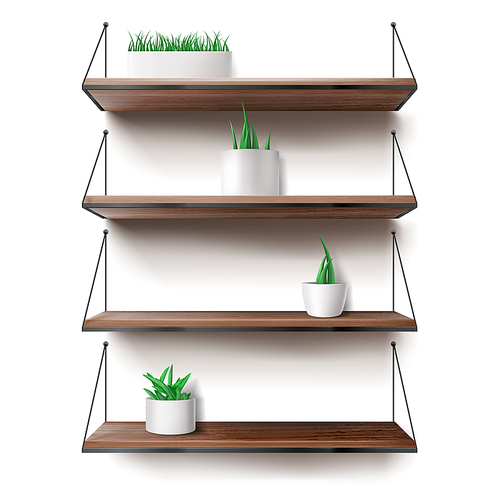 Wooden shelves hanging on ropes with plants in ceramics pots. Front racks on white wall background. Interior design element for room decoration, home ledges furniture, Realistic 3d vector illustration