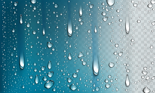 Water droplets on glass surface isolated on transparent . Vector realistic illustration of condensation of steam in shower or fog on window, fall clear aqua drops from dew or rain