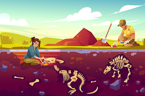Archaeologists, paleontology scientists working on excavations digging soil layers with shovel and exploring founded artifacts, studying dinosaurs fossil skeletons bones cartoon vector illustration