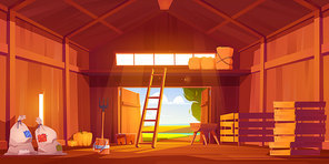 Barn on farm with harvest, straw and hay. Vector cartoon interior of old wooden shed with haystack on loft, ladder, fork, bags and pumpkin. Rural barnhouse for storage harvest