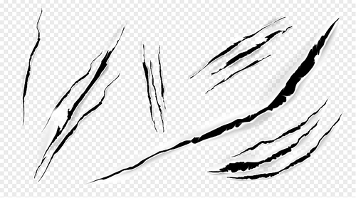 marks, claws scratches isolated vector pets or wild animal nails rip, tiger or bear paws sherds on transparent background. lion, monster or beast break, , realistic 3d traces on paper texture set