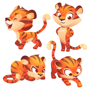Tiger cub cute cartoon character hunting, slink and roar. Funny animal mascot stand with arms akimbo. Kawaii wild baby kitten with smiling muzzle and striped skin, Vector illustration, isolated set