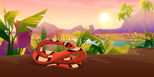 Scarlet milk snake on ground in grass. Vector cartoon illustration of summer tropical landscape with river, mountains, palm trees and exotic serpent with coiled long tail