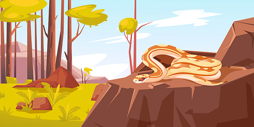 Snake in forest, python with red eyes and beige body with brown spots lying on stone relaxing at sunny day in wood with green trees. Wild reptile summer lifestyle, Cartoon vector illustration