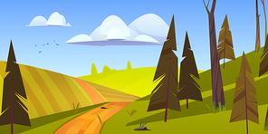 Cartoon nature landscape, rural dirt road going along green field with conifers trees. Path and spruces under blue sky with fluffy clouds and flying birds, scenery wood background, vector illustration