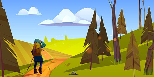 Woman hiker with stick and backpack walks on road from forest to green hills. Vector cartoon illustration of summer landscape with pines, fields and girl tourist