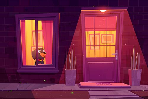 Dog waiting by window in house at night. Sad rottweiler pup stay alone at home. Vector cartoon illustration of residential building facade with brick wall, window, door, plants and outside lamp