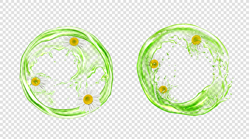 Circle splash of green tea with chamomile isolated on transparent background. Vector realistic set of liquid round flow of water, herbal drink, cold tea with daisy flowers